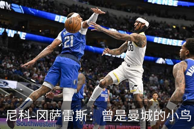 尼科-冈萨雷斯：曾是曼城的小鸟，现已飞往纽卡斯尔的温暖巢穴